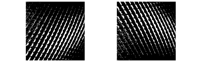 KleinKarpets  Free Fonts Download