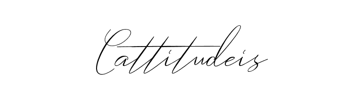 Robertortiz  Free Fonts Download