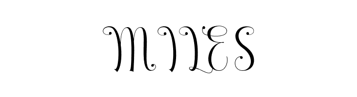 Armadilla  Free Fonts Download