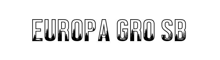 BLACK FOREST  Free Fonts Download