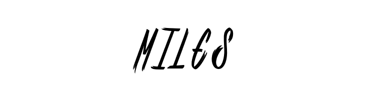 Shenanigans light_PersonalUseOnly  Free Fonts Download