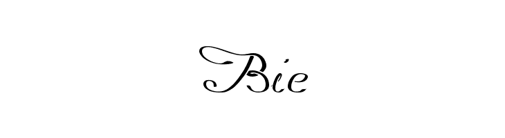 Promocyja Regular  Free Fonts Download