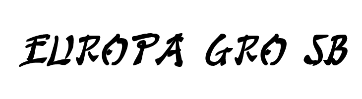 Bushido Bold Italic  Free Fonts Download