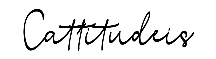 StefianScript  Free Fonts Download