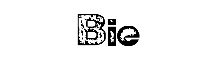 ZWISDOM  Free Fonts Download