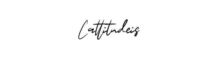 BuffaloSignature  Free Fonts Download