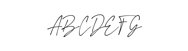 Amstirdam  Free Fonts Download