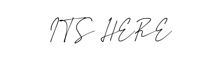 Amstirdam  Free Fonts Download