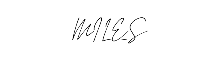 Amstirdam  Free Fonts Download