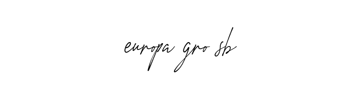 Amstirdam  Free Fonts Download