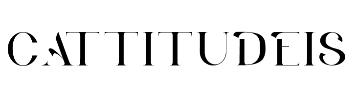 BLANCO  Free Fonts Download