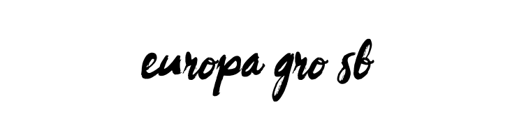 Berlari  Free Fonts Download