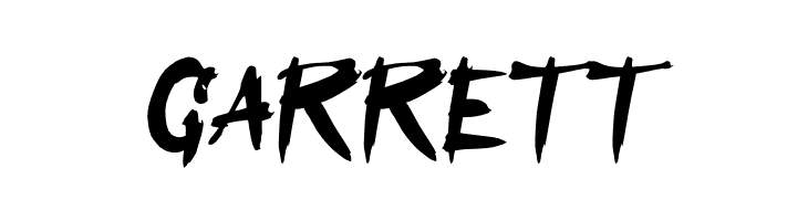 Assassin Ninja  Free Fonts Download