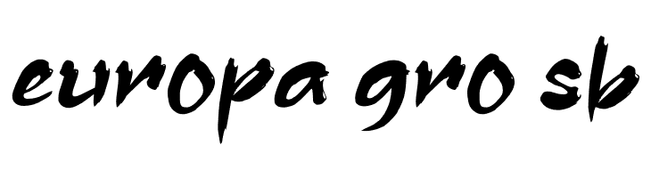 Assassin Ninja  Free Fonts Download
