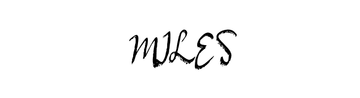 Aneka Satwa  Free Fonts Download