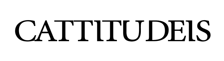 InfraRed Bold  Free Fonts Download