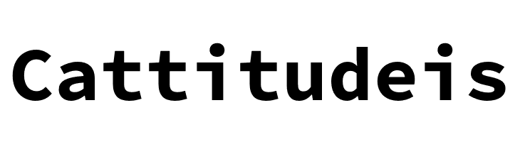 Source Code Pro Bold  Free Fonts Download