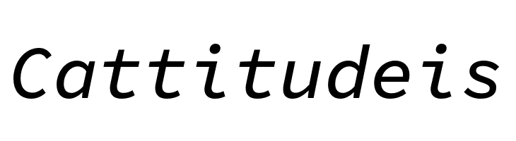 Source Code Pro Medium Italic  Free Fonts Download