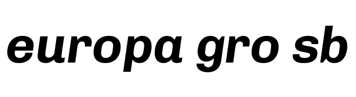Chivo Bold Italic  Free Fonts Download