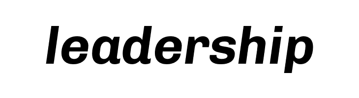 Chivo Bold Italic  Free Fonts Download