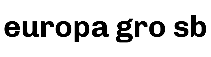 Chivo Bold  Free Fonts Download