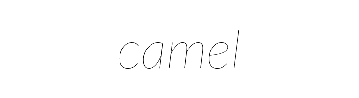 Lato Hairline Italic  Free Fonts Download