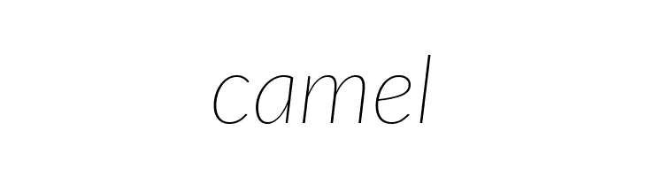 Lato Thin Italic  Free Fonts Download