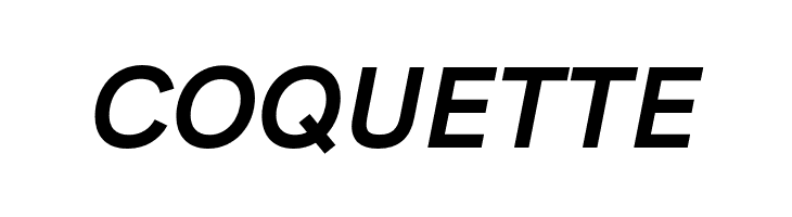HK Grotesk Bold Italic  Free Fonts Download