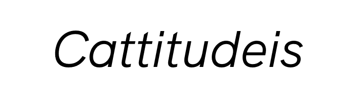 HK Grotesk Italic  Free Fonts Download