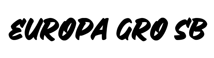 Bushetch  Free Fonts Download