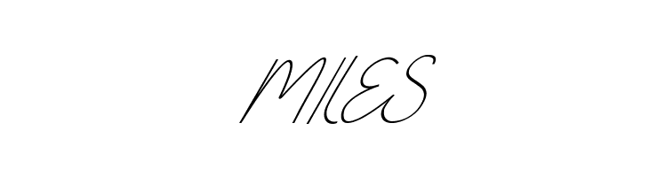 Box Spagethy Italic  Free Fonts Download