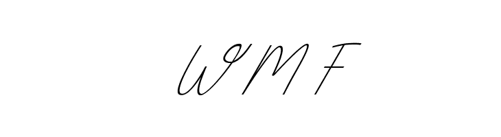 Box Spagethy Italic  Free Fonts Download