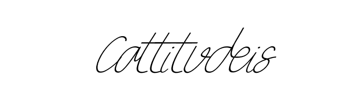 Box Spagethy Italic  Free Fonts Download