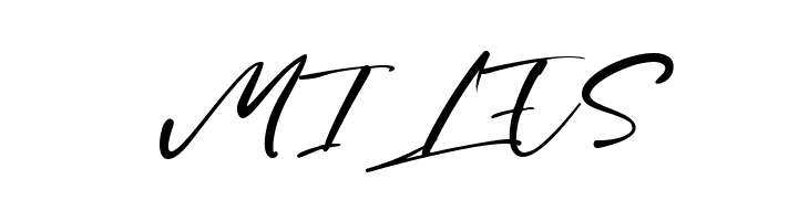 Brian Raja  Free Fonts Download