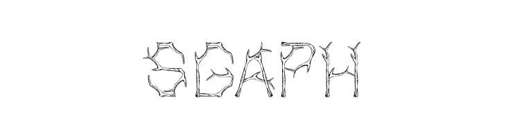 Bagonk-Branch  Free Fonts Download