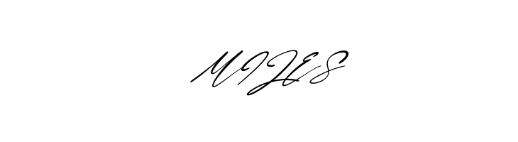 Lamonnisa Italic  Free Fonts Download