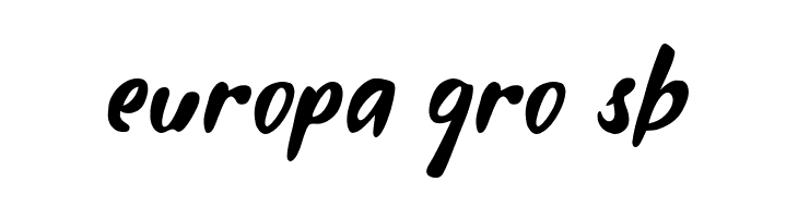 Fleepavlop Thin  Free Fonts Download