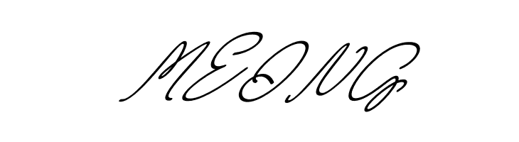 Wimter White Italic  Free Fonts Download