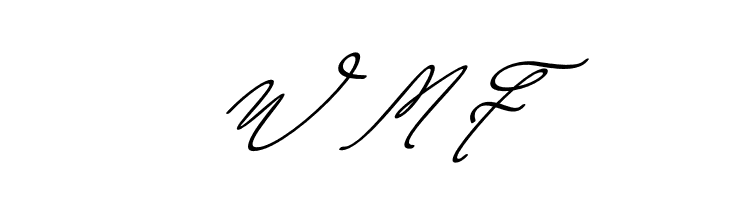 Wimter White Italic  Free Fonts Download