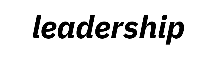 IBM Plex Sans Bold Italic  Free Fonts Download