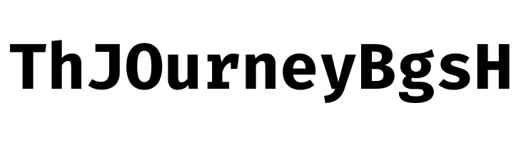 Fira Code Bold  Free Fonts Download