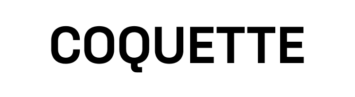 Space Grotesk Bold  Free Fonts Download