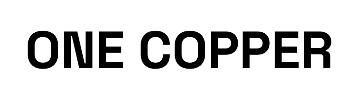 Space Grotesk Bold  Free Fonts Download