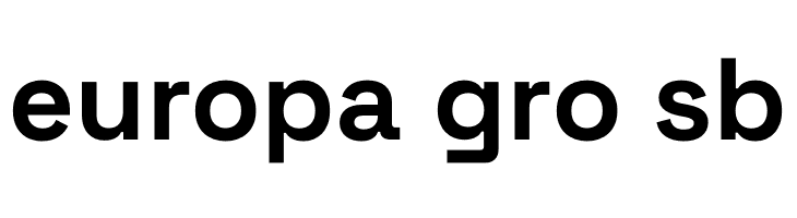 Space Grotesk Bold  Free Fonts Download