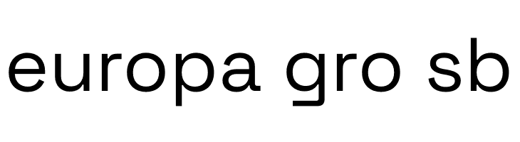 Space Grotesk Regular  Free Fonts Download