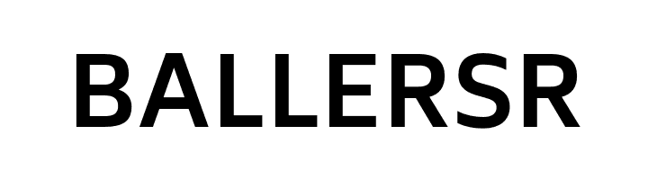 Biryani Bold  Free Fonts Download