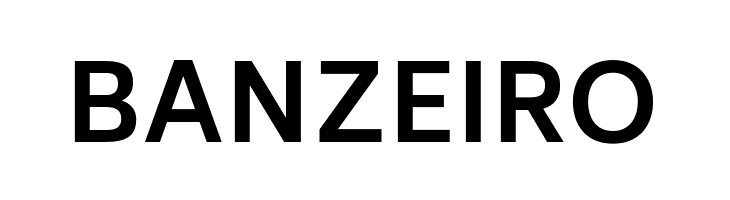 Biryani Bold  Free Fonts Download