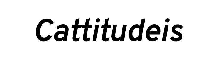 Overpass Bold Italic  Free Fonts Download