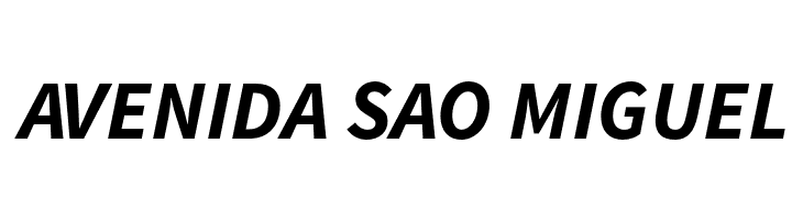 Source Sans Pro Bold Italic  Free Fonts Download