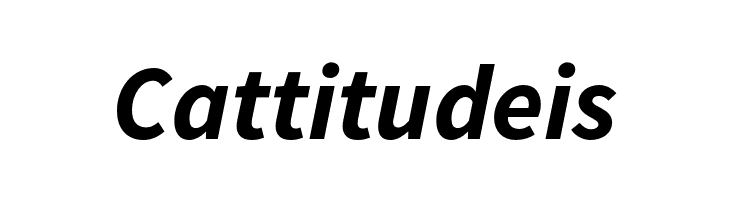 Source Sans Pro Bold Italic  Free Fonts Download